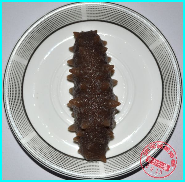 济元即食刺参