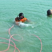 济元海参养殖基地捕捞现场